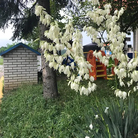 Motel Zlatko Domaljevac